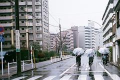 让你霉运不断的几种办公风水