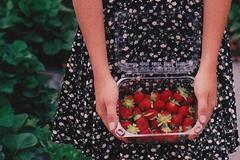 辰戌丑未四墓库的信息取象