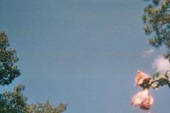 六爻多重取象(16-18)