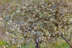 12星座之男女朋友关系