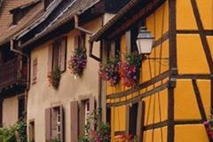 9月19日生日巧克力：1520（Le 1502）