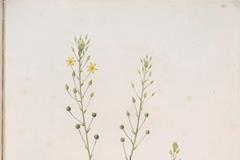 10月24日出生的名人,10月24日逝世的名人