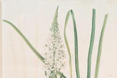 10月21日出生的名人,10月21日逝世的名人