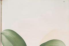 10月17日出生的名人,10月17日逝世的名人