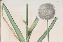 最常见的哪些风水命理误区