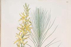 八字相似，命运就该相差无几吗？