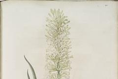 四柱八字结构组合分析法简介