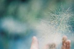 农历4月25日是什么星座：金牛座或双子座