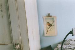 农历3月25日是什么星座：白羊座或金牛座