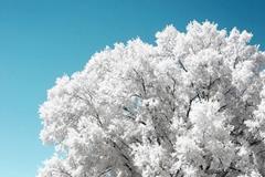 第九宫：迁移宫