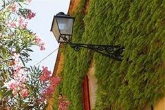 四柱论骨肉信息同步