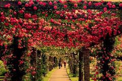 12星女婚后如何为自己增值