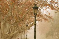 辞职旅行，12星座怎么看