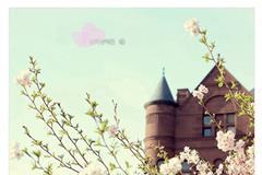 16、古籍整理之十二月将精微涵义