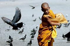 12星座最欠照顾的命