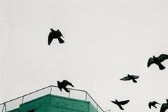 星座与职场之水瓶座篇