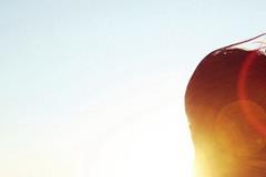 哪些星座老公最爱“偷腥”？