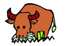 职场中“忍”功最强的星座