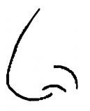 什么面相的人是你的财运贵人