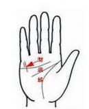 由手相看你近期是否会发财或喜事临门