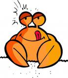 12星座谁最会精打细算