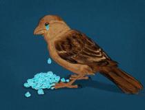 12星座的眼泪排行榜