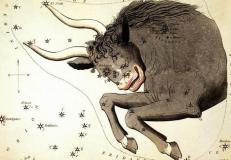 12星座和爱人交换手机后的后果