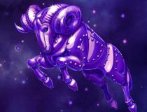 十二星座速效减肥妙法