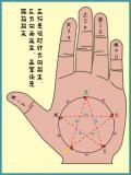 学习易经实用掌图
