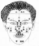 看面相系列之三：中医看面相