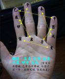 易掌决图解大全