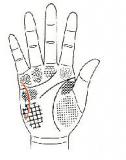 手相术（15）直覺線