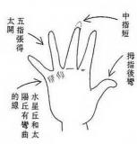 浪费成性的女人手相