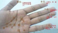 会嫁好男人·有福气的女人手相啥样？