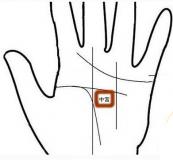 女人手相看财运