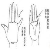 女人手相看内向外向