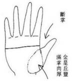 命硬的女人手相图解