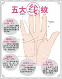 女人手相算命图解大全