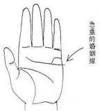 女人手相婚姻线下垂图解