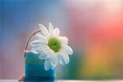 能修能补就不换，这些星座很节俭