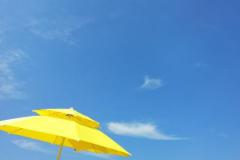 最值得白头偕老的星座女