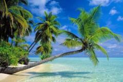 恋爱以后，这些星座让你很舒服