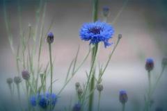 盘点：难追又难分的星座