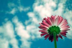 从来不因为喜欢主动联系你的星座