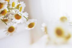 既想结婚但又害怕结婚的星座