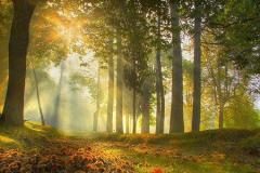 能够爬出暧昧坑的星座