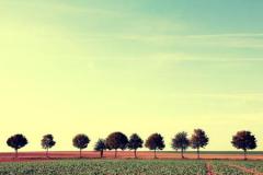 盘点：想出轨但没有胆量的星座