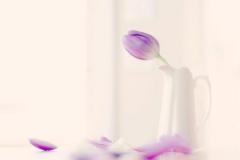 揭秘！其实这些星座的是恋爱高手