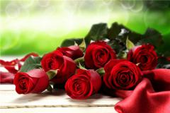 别人都说不般配，却仍然坚定在一起的星座