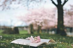 恋爱中总是处于弱势的星座